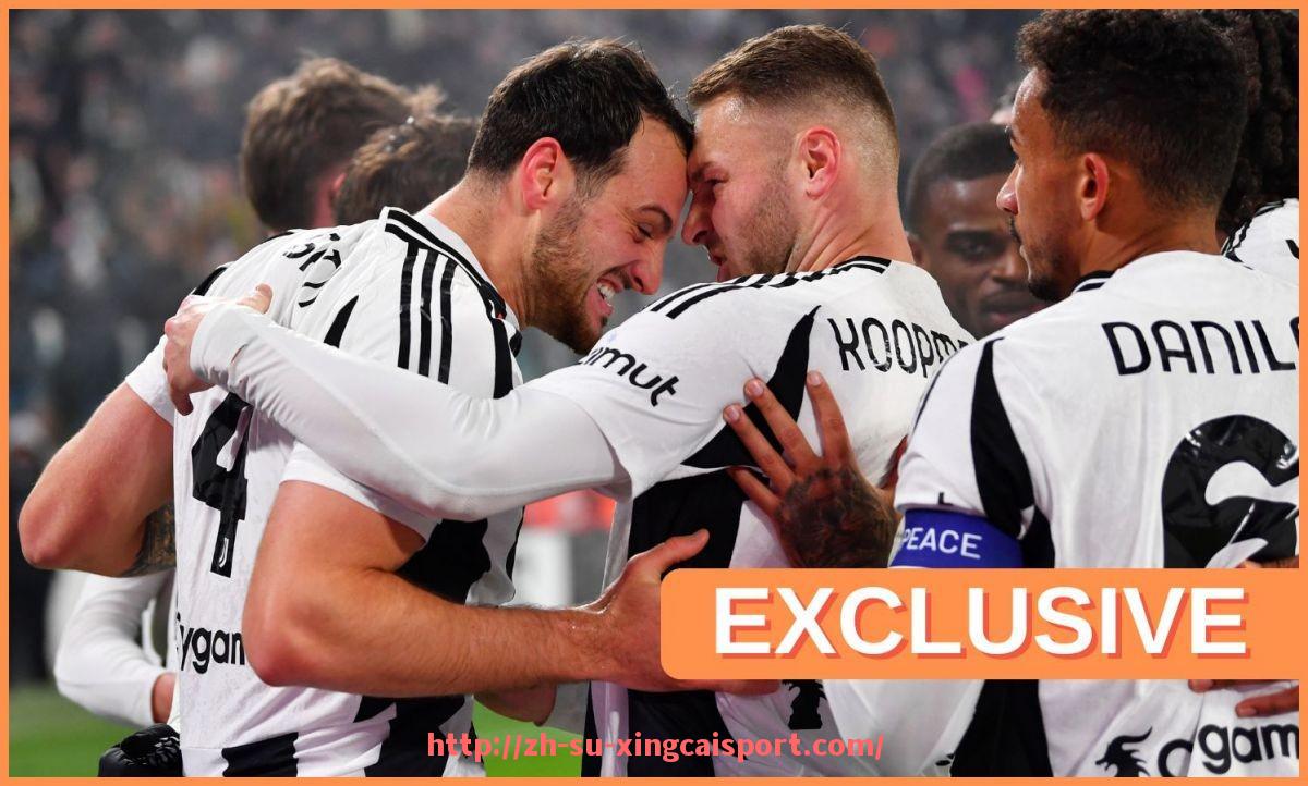 杏彩体育-世俱杯比赛场馆出入口安全监控系统规划与监管要求