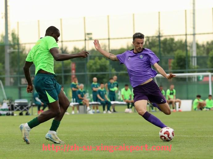 杏彩体育-德甲历史上球队排名变动情况整理